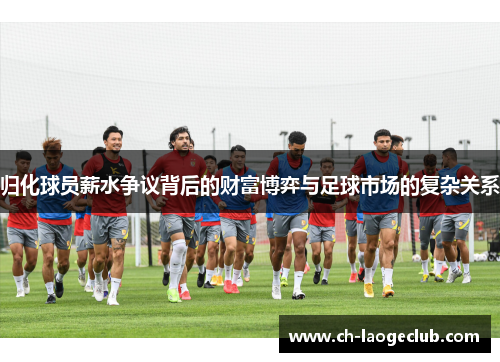 归化球员薪水争议背后的财富博弈与足球市场的复杂关系