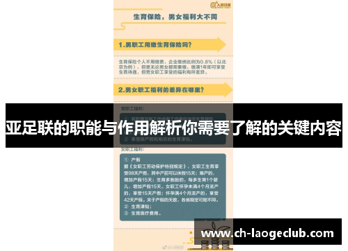 亚足联的职能与作用解析你需要了解的关键内容