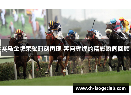 赛马金牌荣耀时刻再现 奔向辉煌的精彩瞬间回顾