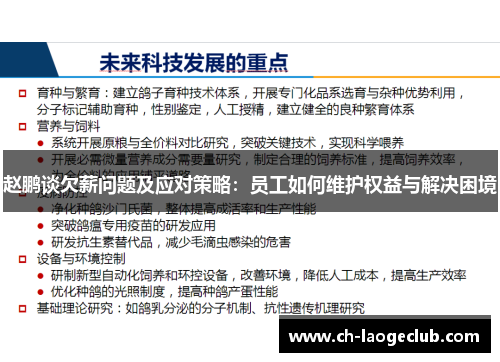 赵鹏谈欠薪问题及应对策略:员工如何维护权益与解决困境 赵鹏谈欠薪问题及应对策略:员工如何维护权益与解决困境
