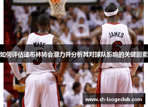 如何评估迪布林转会潜力并分析其对球队影响的关键因素