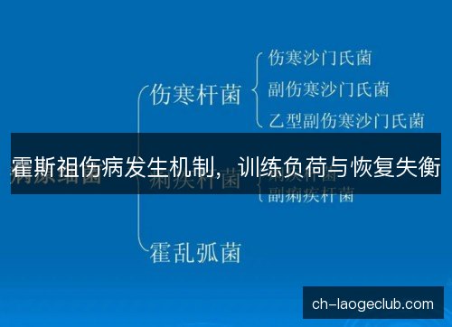 霍斯祖伤病发生机制，训练负荷与恢复失衡