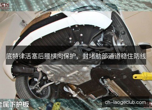 底特律活塞后腰横向保护，封堵肋部通道稳住防线